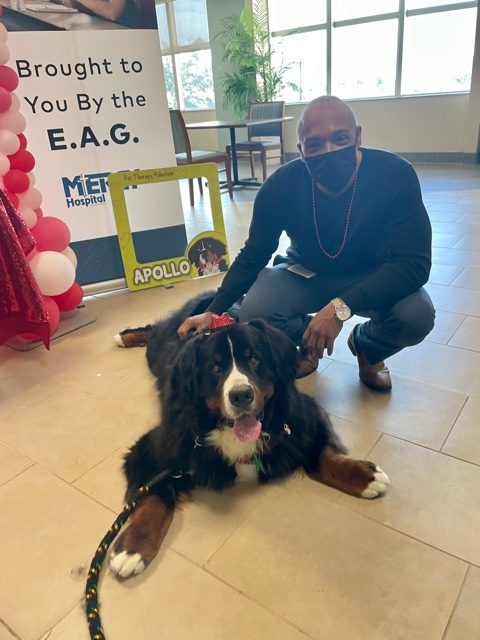 Valentine’s Celebrations at Mercy Hospital | Ale Ramos Therapy Animals
