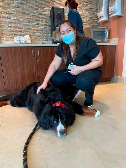 Valentine’s Celebrations at Mercy Hospital | Ale Ramos Therapy Animals