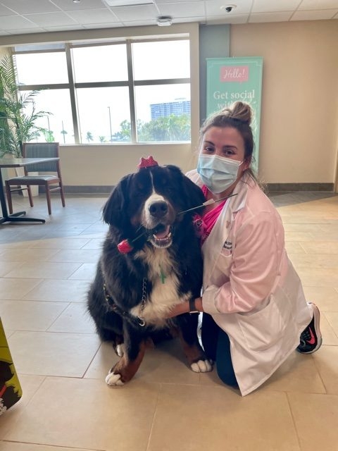 Valentine’s Celebrations at Mercy Hospital | Ale Ramos Therapy Animals