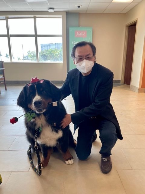 Valentine’s Celebrations at Mercy Hospital | Ale Ramos Therapy Animals