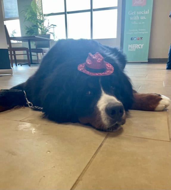 Valentine’s Celebrations at Mercy Hospital | Ale Ramos Therapy Animals