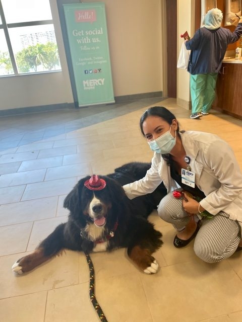 Valentine’s Celebrations at Mercy Hospital | Ale Ramos Therapy Animals