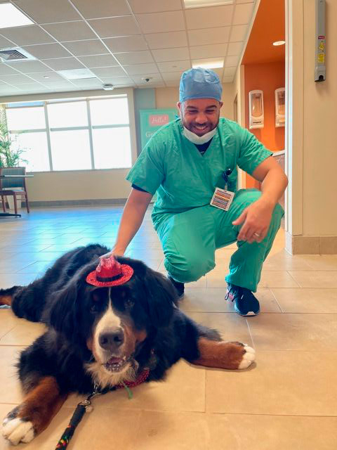 Valentine’s Celebrations at Mercy Hospital | Ale Ramos Therapy Animals