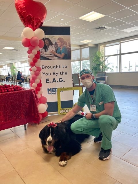Valentine’s Celebrations at Mercy Hospital | Ale Ramos Therapy Animals