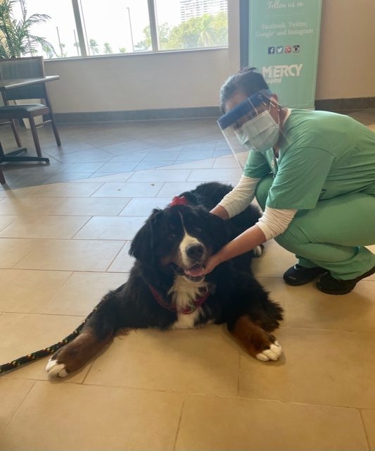 Valentine’s Celebrations at Mercy Hospital | Ale Ramos Therapy Animals
