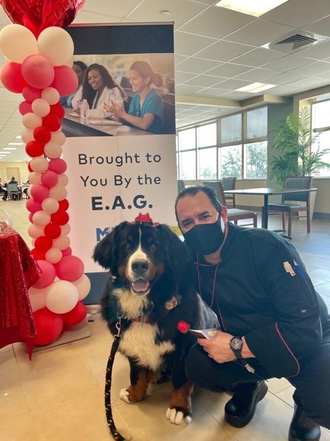 Valentine’s Celebrations at Mercy Hospital | Ale Ramos Therapy Animals