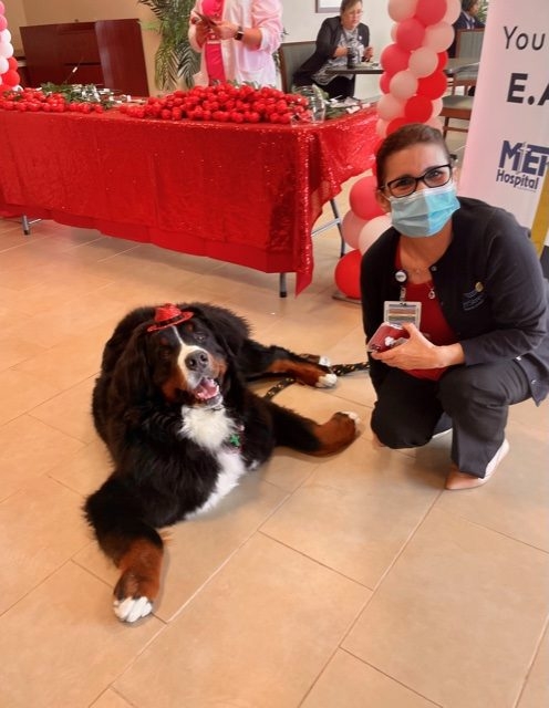 Valentine’s Celebrations at Mercy Hospital | Ale Ramos Therapy Animals