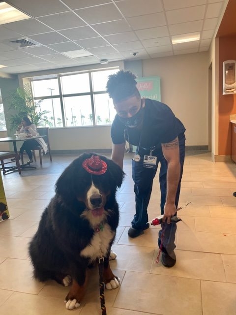 Valentine’s Celebrations at Mercy Hospital | Ale Ramos Therapy Animals