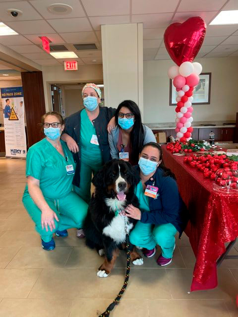 Valentine’s Celebrations at Mercy Hospital | Ale Ramos Therapy Animals