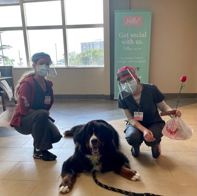 Valentine’s Celebrations at Mercy Hospital | Ale Ramos Therapy Animals