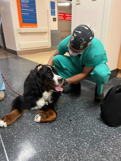 Visit at Kendall Regional Hospital | Ale Ramos Therapy Animals