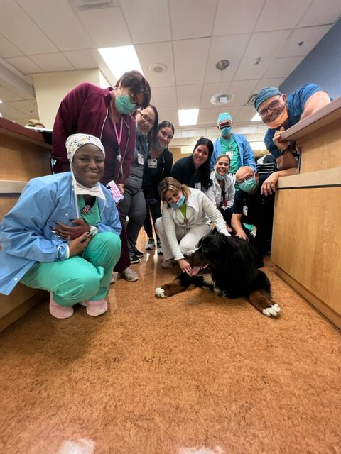 Visit at Kendall Regional Hospital | Ale Ramos Therapy Animals