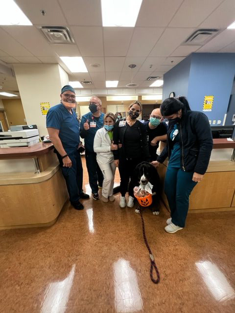 Visit at Kendall Regional Hospital | Ale Ramos Therapy Animals