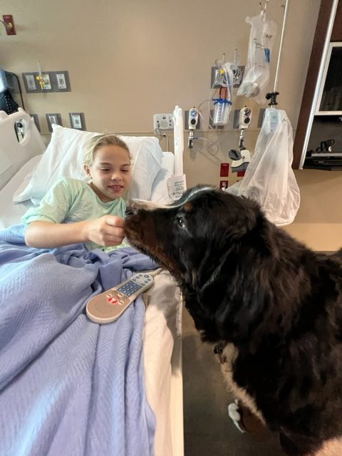 Visit at Kendall Regional Hospital | Ale Ramos Therapy Animals