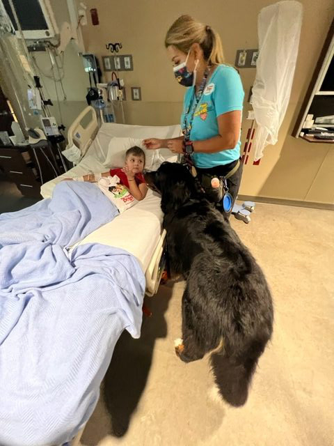 Visit at Kendall Regional Hospital | Ale Ramos Therapy Animals