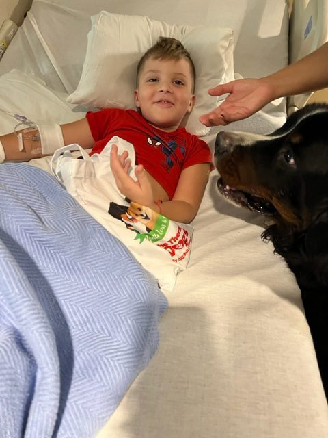 Visit at Kendall Regional Hospital | Ale Ramos Therapy Animals