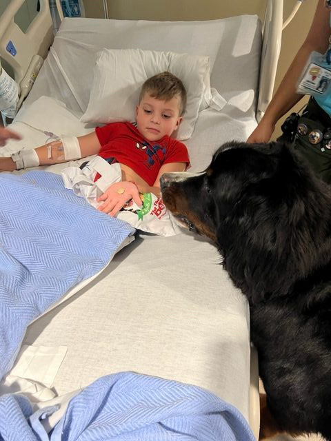 Visit at Kendall Regional Hospital | Ale Ramos Therapy Animals