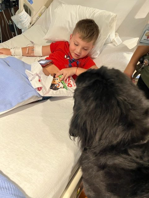 Visit at Kendall Regional Hospital | Ale Ramos Therapy Animals