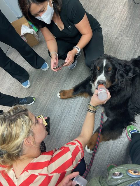 Visit at Kendall Regional Hospital | Ale Ramos Therapy Animals