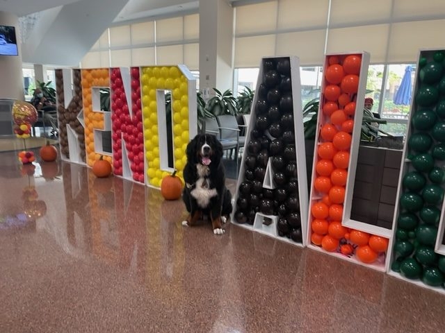 Visit at Kendall Regional Hospital | Ale Ramos Therapy Animals
