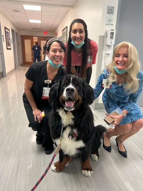 Visit at Kendall Regional Hospital | Ale Ramos Therapy Animals