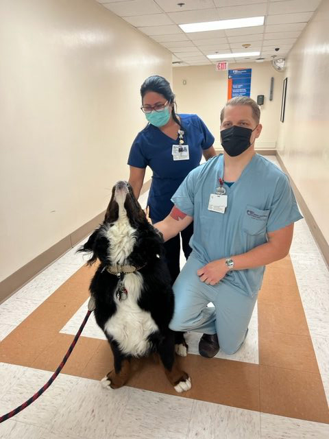 Visit at Kendall Regional Hospital | Ale Ramos Therapy Animals