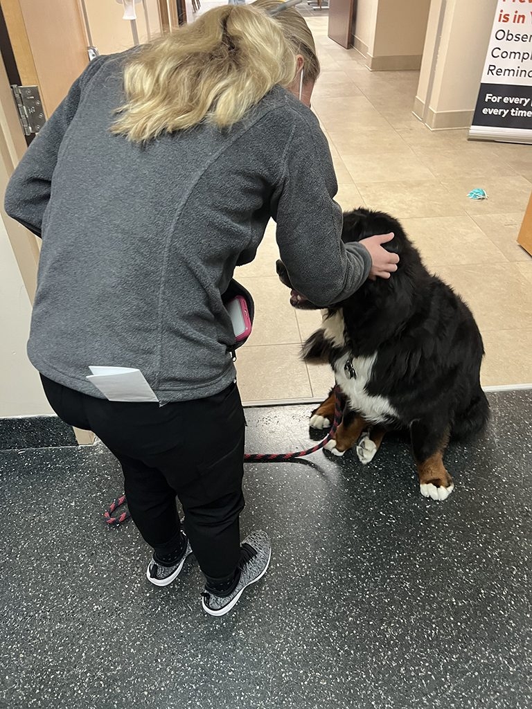 Visit at Kendall Regional Hospital | Ale Ramos Therapy Animals