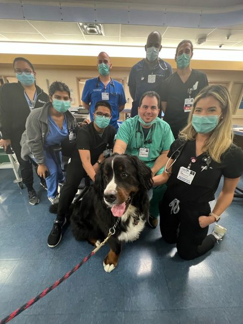 Visit at Kendall Regional Hospital | Ale Ramos Therapy Animals