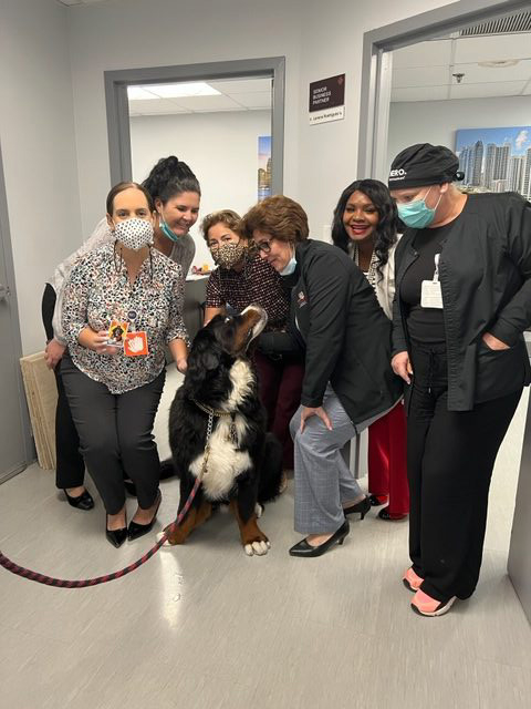Visit at Kendall Regional Hospital | Ale Ramos Therapy Animals