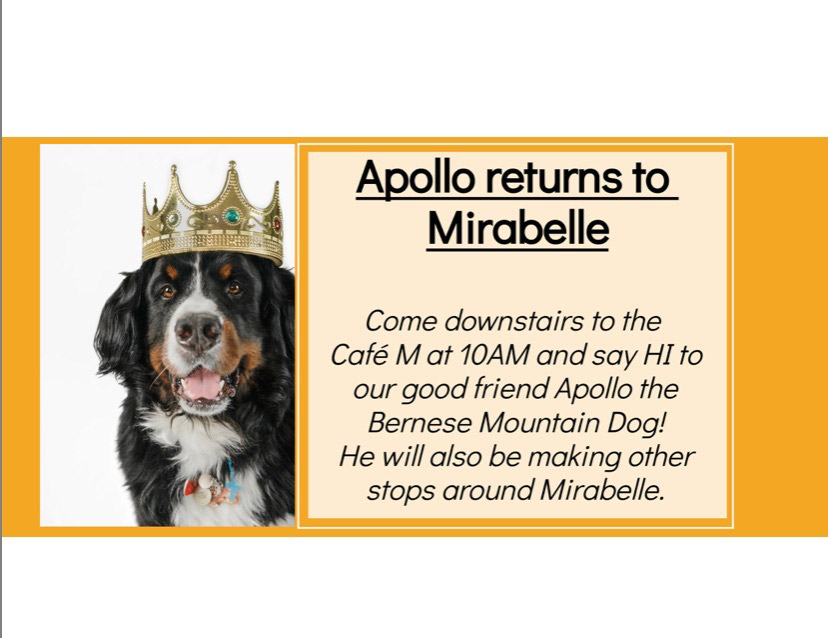  April 18, 2022 | Ale Ramos Therapy Animals