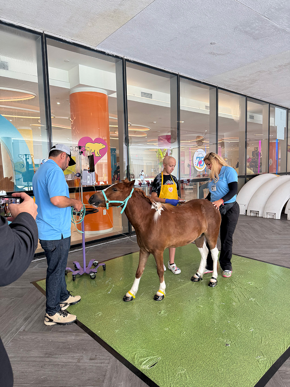 Visit by Pegasus at Nicklaus Children’s Hospital - June 12, 2025 | Ale Ramos Therapy Animals