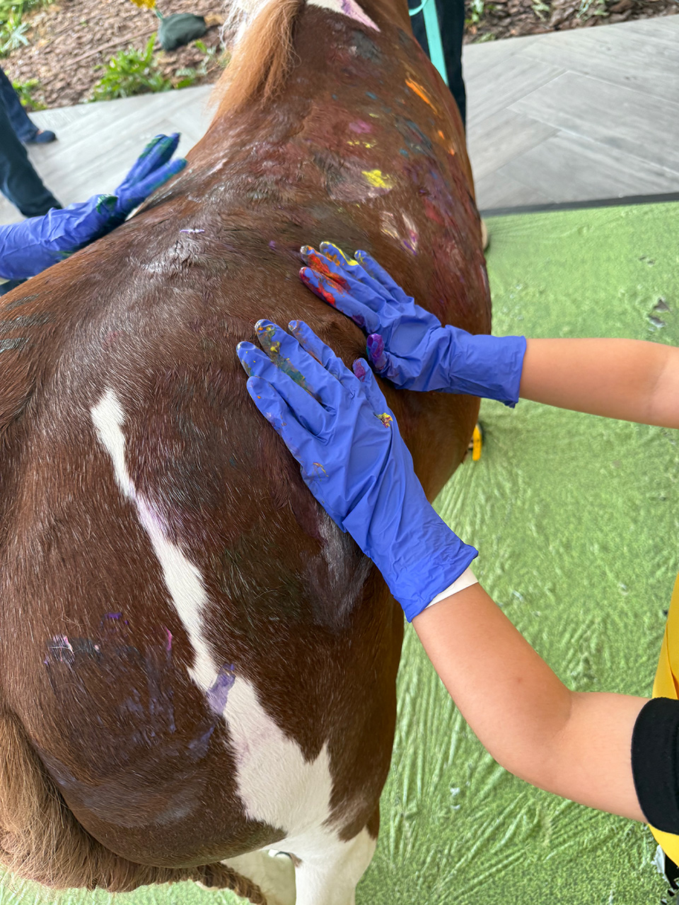 Visit by Pegasus at Nicklaus Children’s Hospital - June 12, 2025 | Ale Ramos Therapy Animals