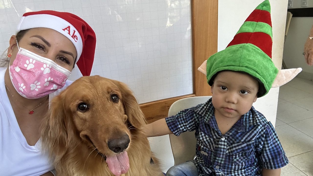Visit La Divina Providenciaría by Fundación Pazos Cali - Colombia | Ale Ramos Therapy Animals
