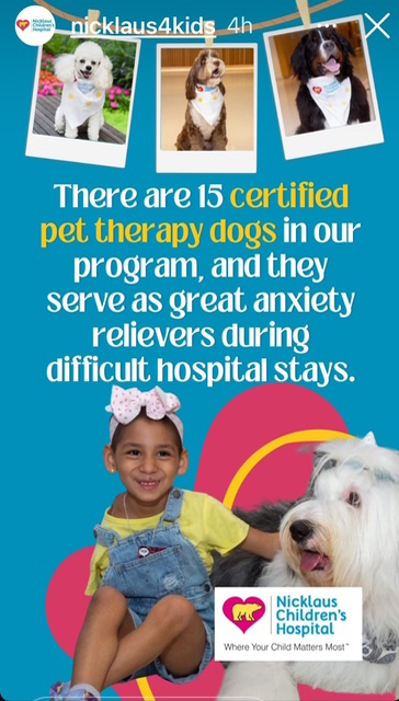 We are a part of them!! | Alexandra Ramos Therapy Animals