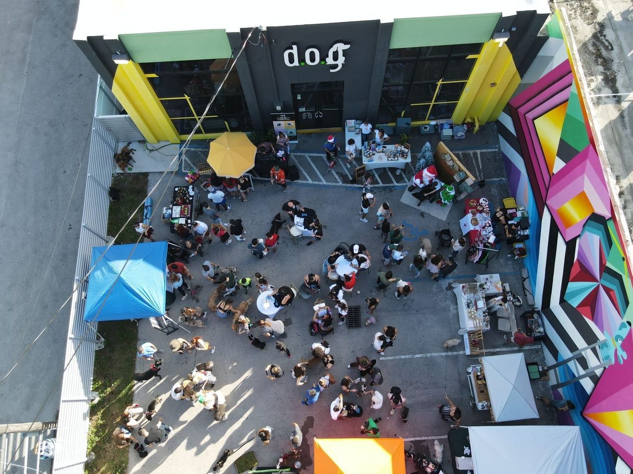 Wynwoof Event by D.O.G