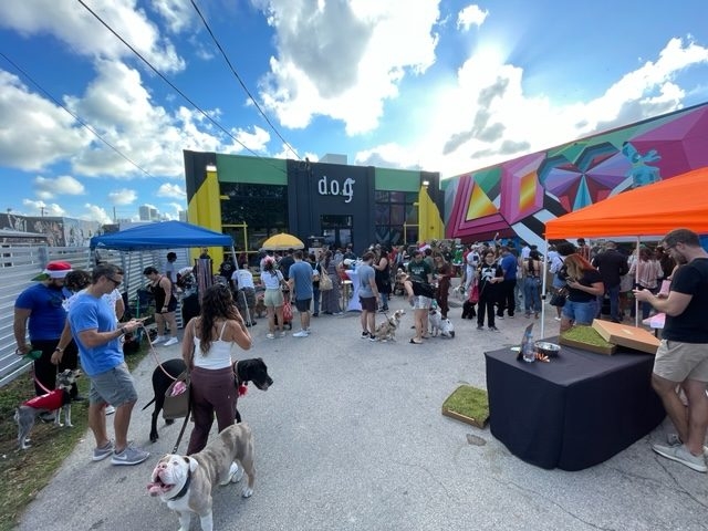 Wynwoof Event by D.O.G