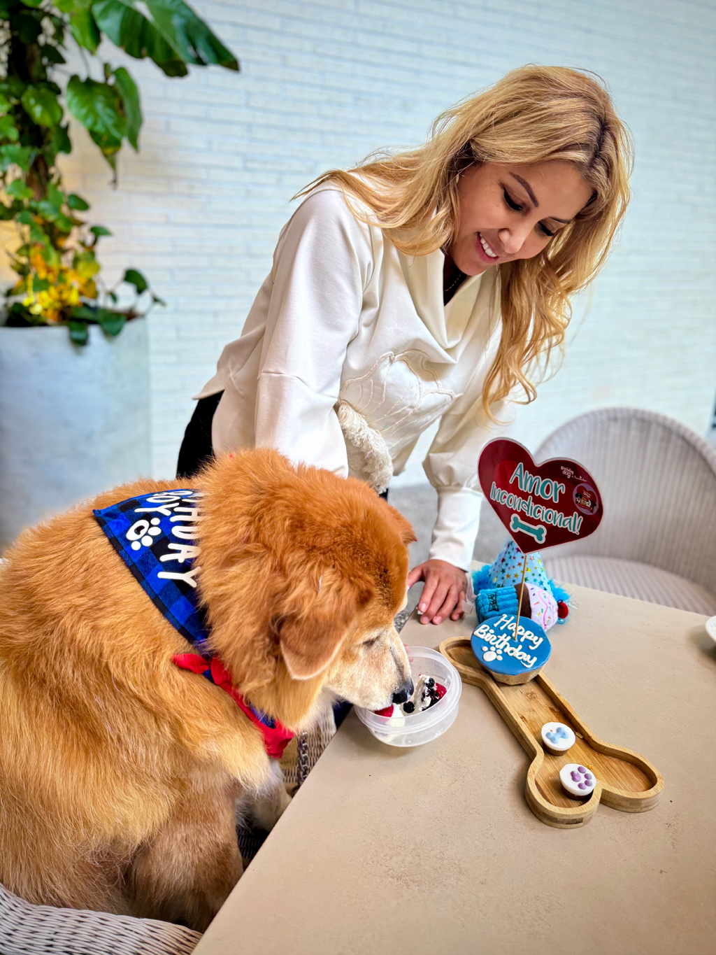 🎂 Zeus Birthday 🍰 / March 5, 2025 | Alexandra Ramos Therapy Animals