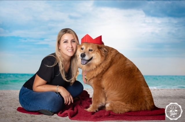 Zeus Love | Ale Ramos Therapy Animals