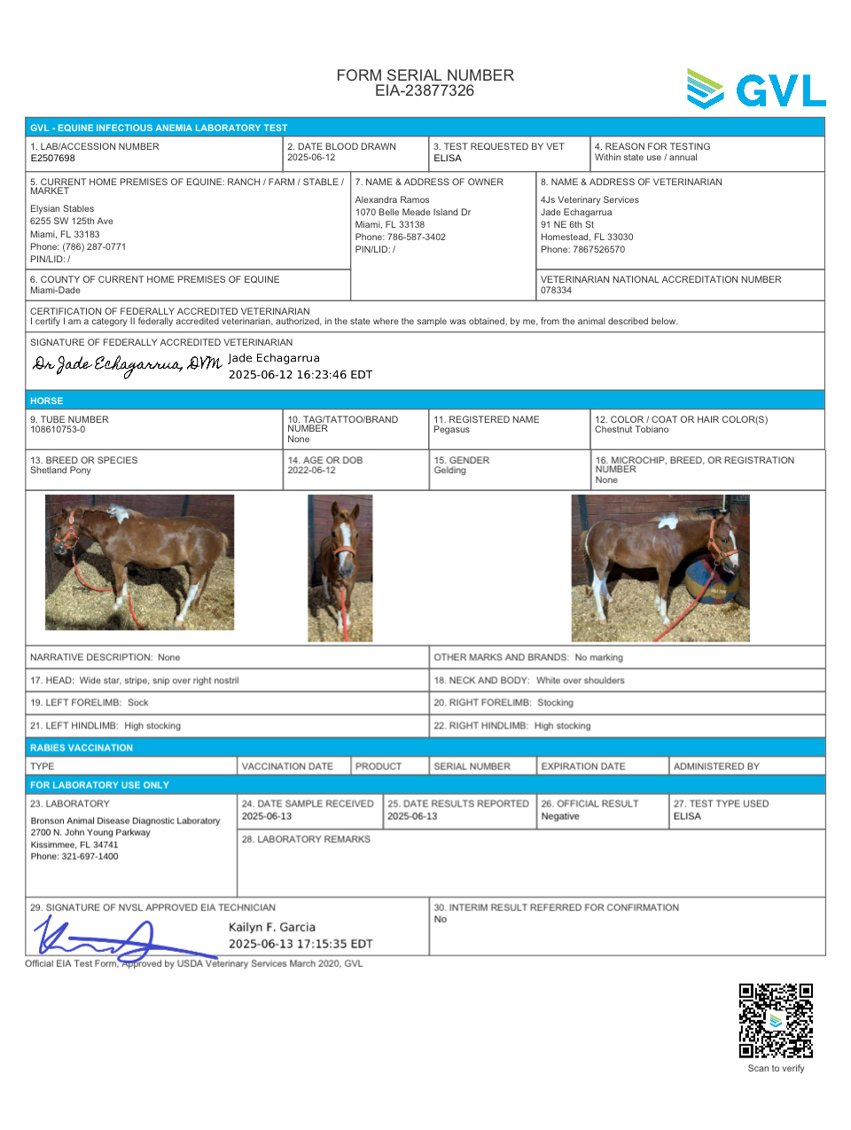 GVL Form | Ale Ramos Therapy Animals